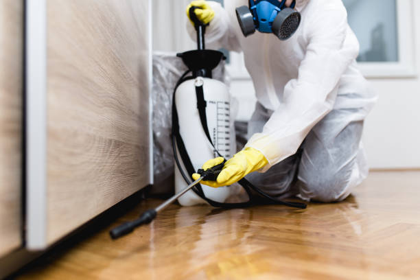 Best Residential Pest Control  in Meraux, LA