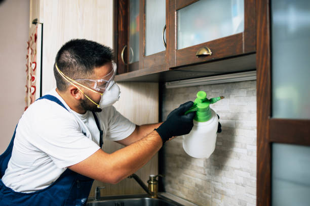 Best Commercial Pest Control Services  in Meraux, LA