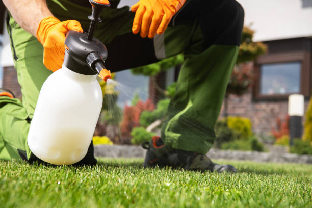 Best Rat Extermination Near Me  in Meraux, LA