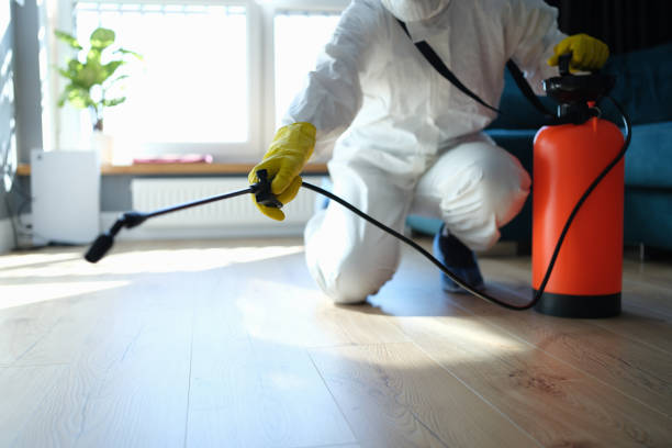 Best Pest Control for Homes  in Meraux, LA