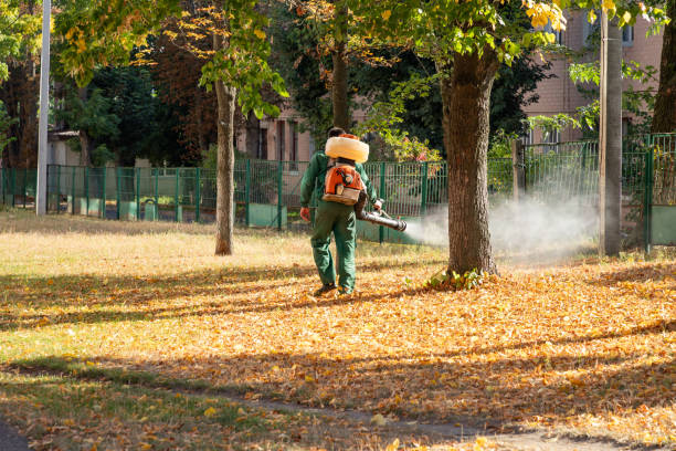 Best Residential Pest Control  in Meraux, LA
